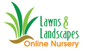 Lawns & Landsacpes Barbados